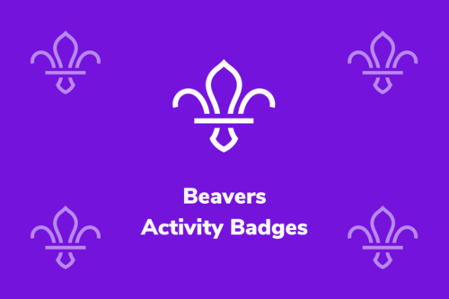beavers