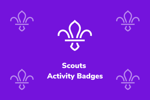scouts